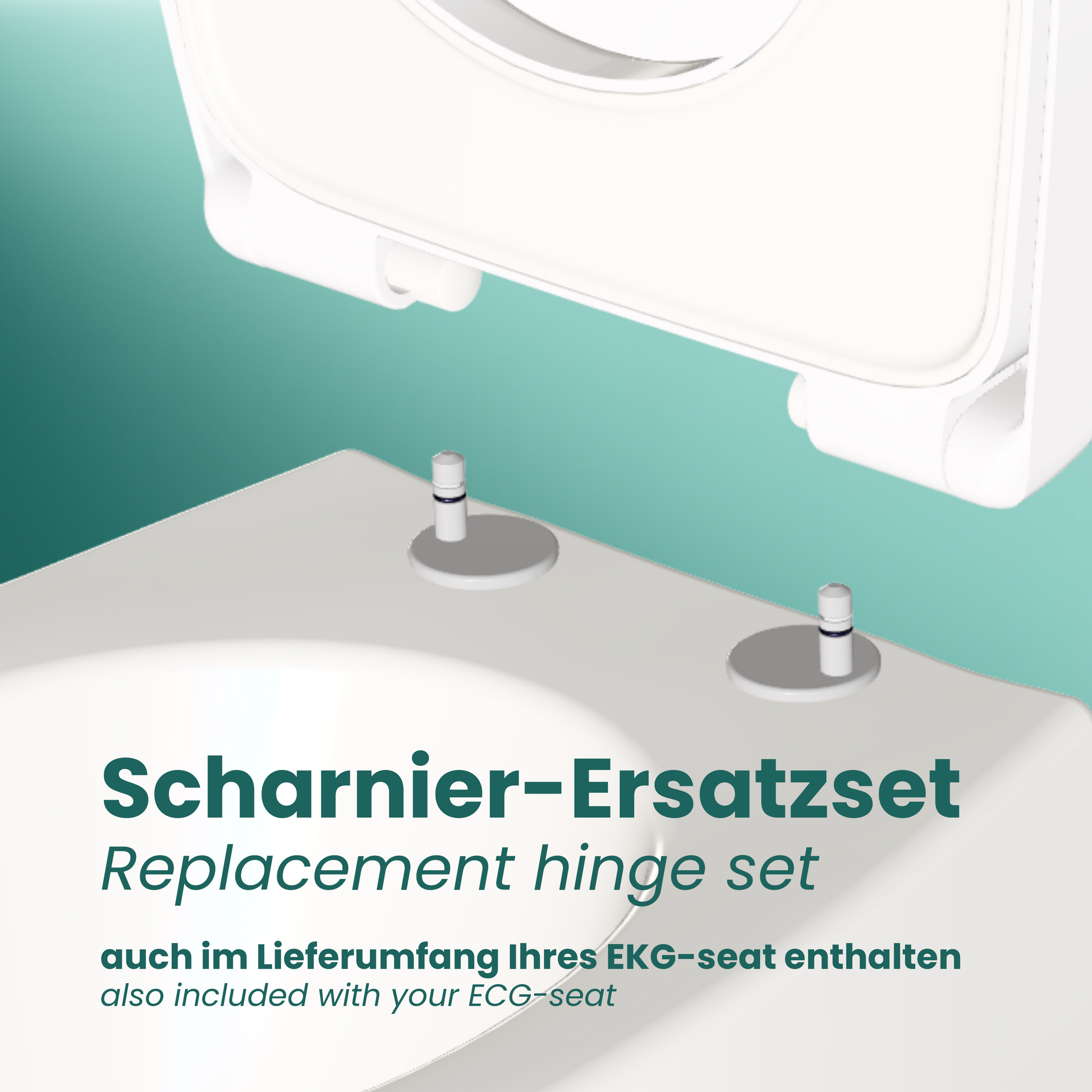 Eine Nahaufnahme der Toilettenkeramik und die Scharniere, die den Toilettensitz auf der Keramik befestigen. 